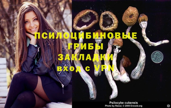 синтетический гашиш Нефтекумск